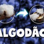 652ef822ae0863dc97a9610f 1000x562